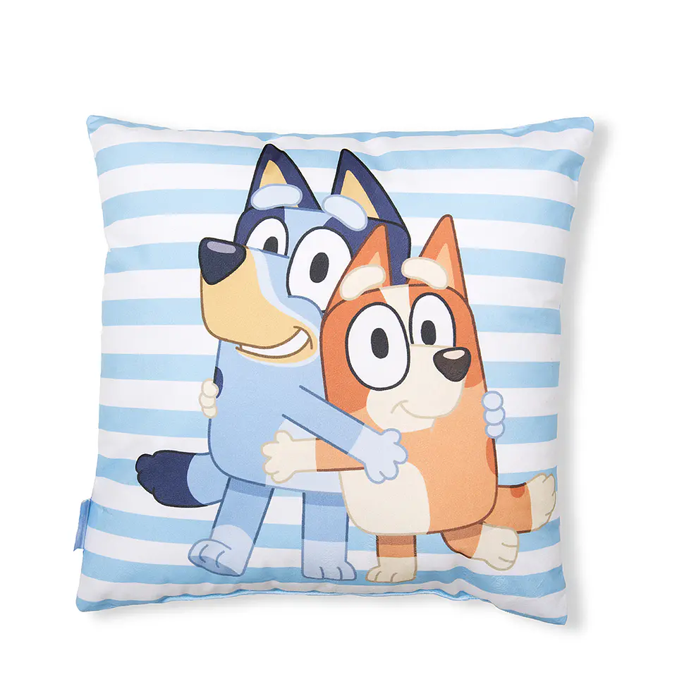 COJIN VELOUR EST. 40x40 CM BLUEY 2