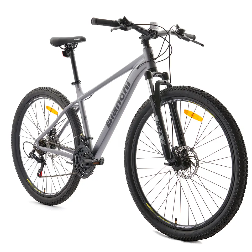 Bicicleta Mt Ho 29 Evolution Sx Gris Plata Bianchi Bbi00046 1