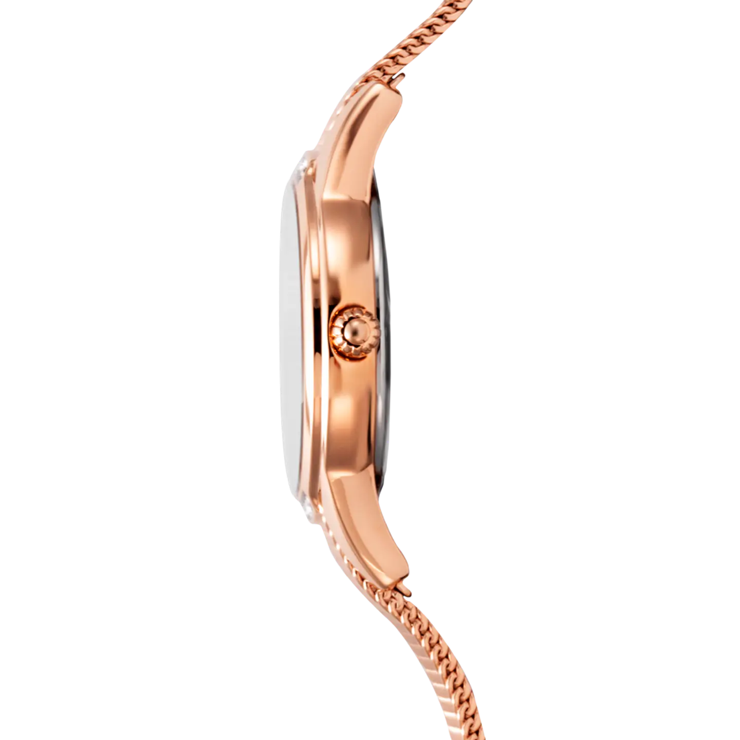 Reloj Mujer. Dorado Swarovski Colores Festina 20496-1 2