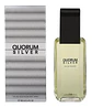QUORUM SILVER EDT 100ML VAP (HO) QUORUM ILM 066PERF251 S/C S/T - Miniatura 1
