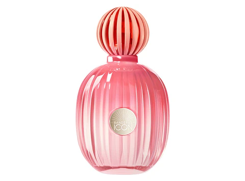 THE ICON SPLENDID (MU) EDP 100ML ANTONIO BANDERAS 066PERF351 S/C S/T