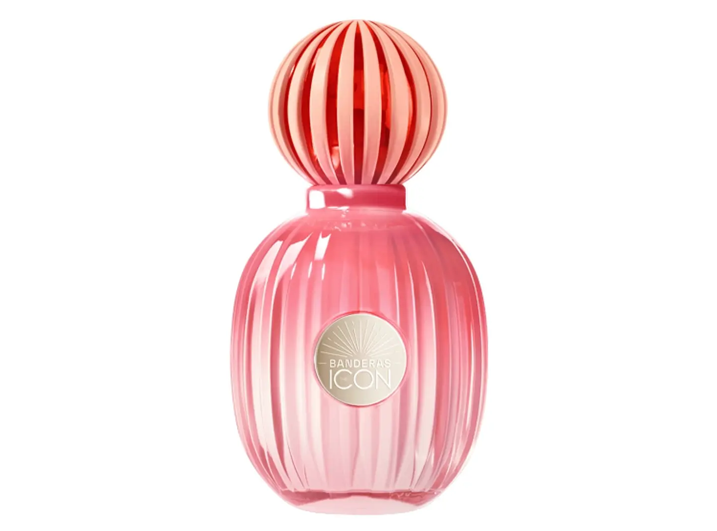 THE ICON SPLENDID (MU) EDP 50ML ANTONIO BANDERAS 066PERF350 S/C S/T 1
