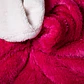 FRAZADA PLUSH SHERPA 1.5P COMERCIAL DORAL FRPLUSH15 - Miniatura 28