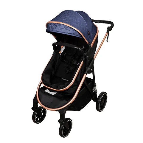 Coche Paseo Padua 2G Azul Infanti 0121100X1Ab