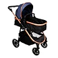 COCHE PASEO PADUA 2G AZUL INFANTI 0121100X1AB - Miniatura 6