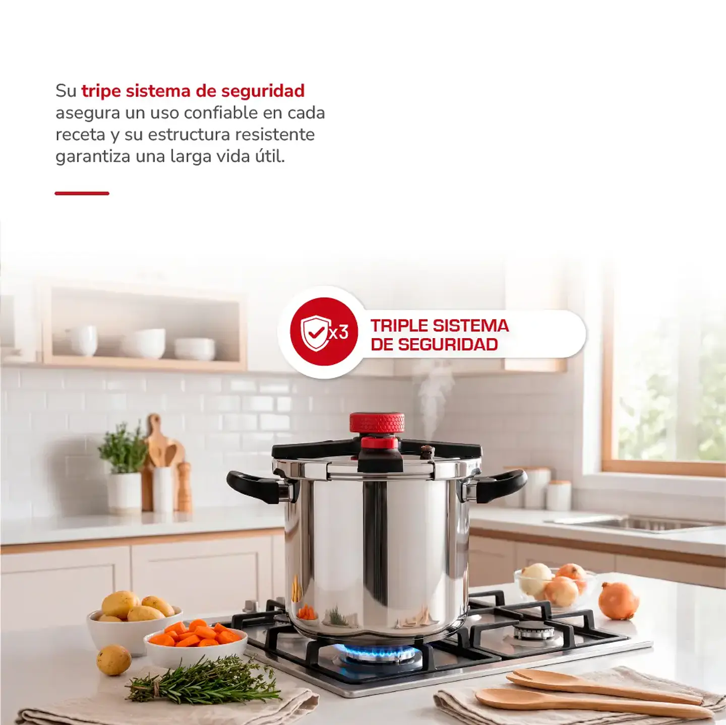Olla a Presión Acero Inox 10lts TH-MOP10I 3