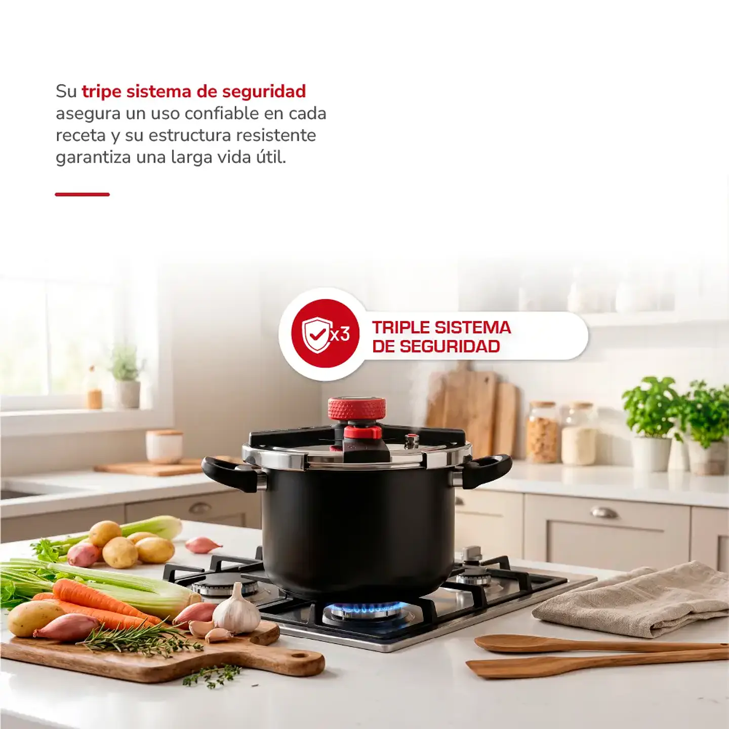 Olla a Presión Acero Inox Negro 8lts TH-MOP08N 4
