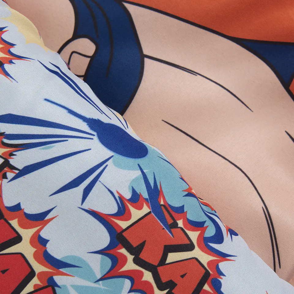 Plumon Rell. 200 Grs Single Dragon Ball Z Windsor 826621 3