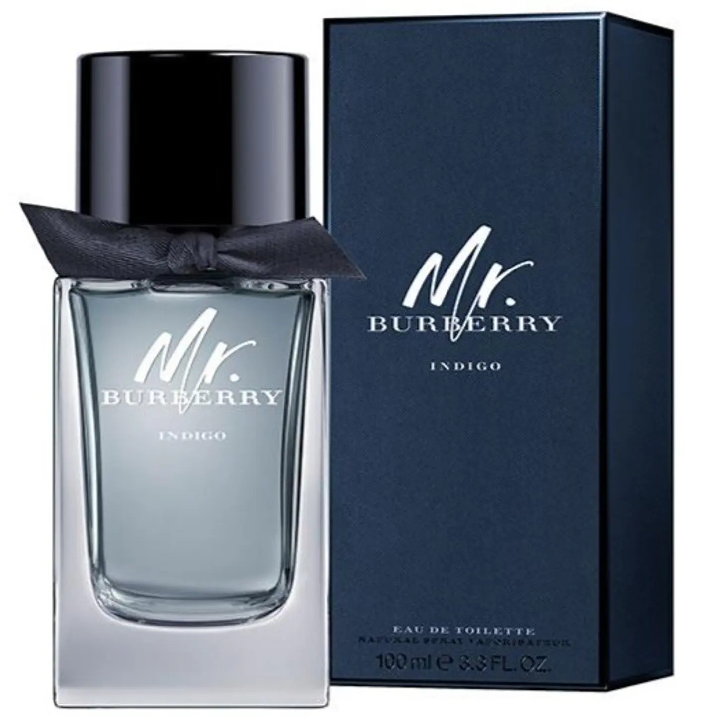 MR. BURBERRY INDIGO EDT 100 ML - BURBERRY 1