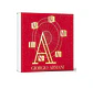 ACQUA DI GIO EDT 15 ML+ACQUA DI GIO EDP 15 ML+ACQUA DI GIO PROFONDO EDP 15 ML - ESTUCHE - ARMANI - Miniatura 2