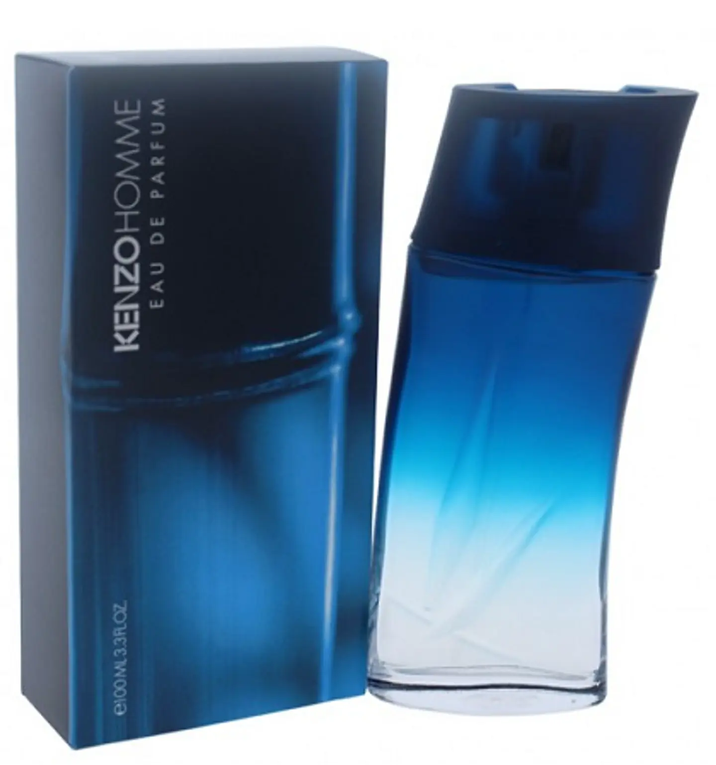 KENZO HOMME EDP 100 ML - KENZO 1