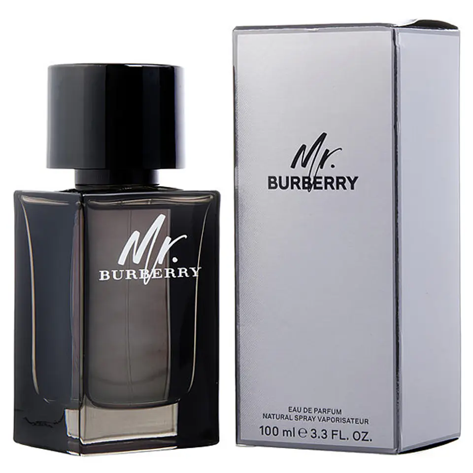 MR. BURBERRY EAU DE PARFUM 100 ML - BURBERRY 1