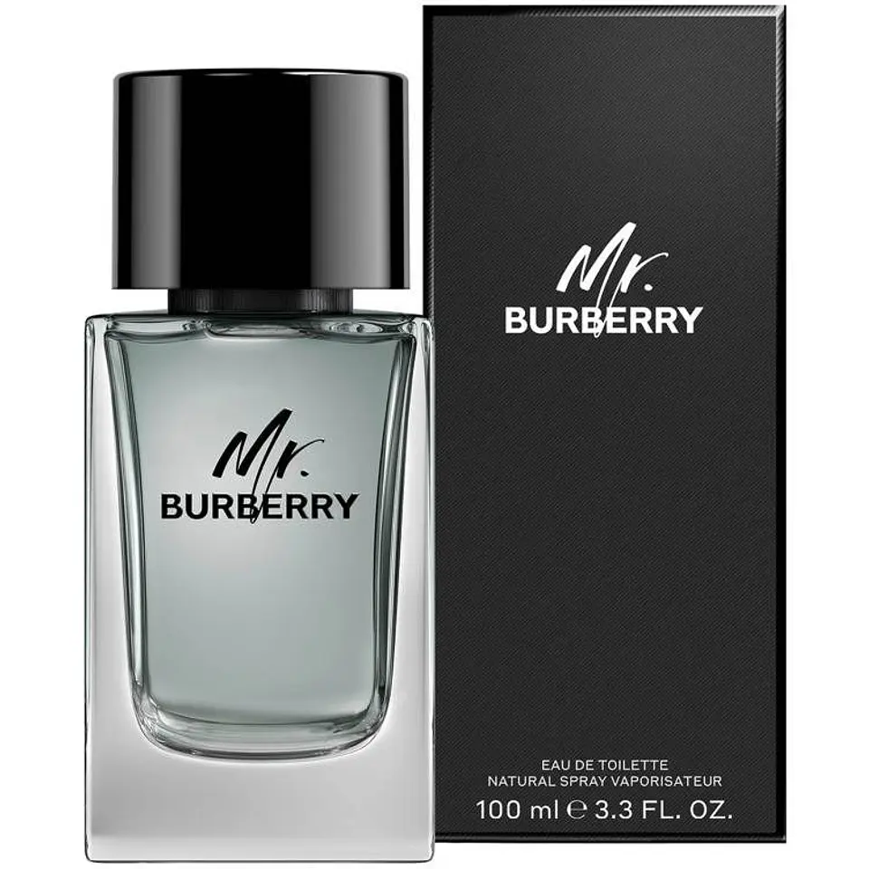 MR. BURBERRY EDT 100 ML - BURBERRY 1