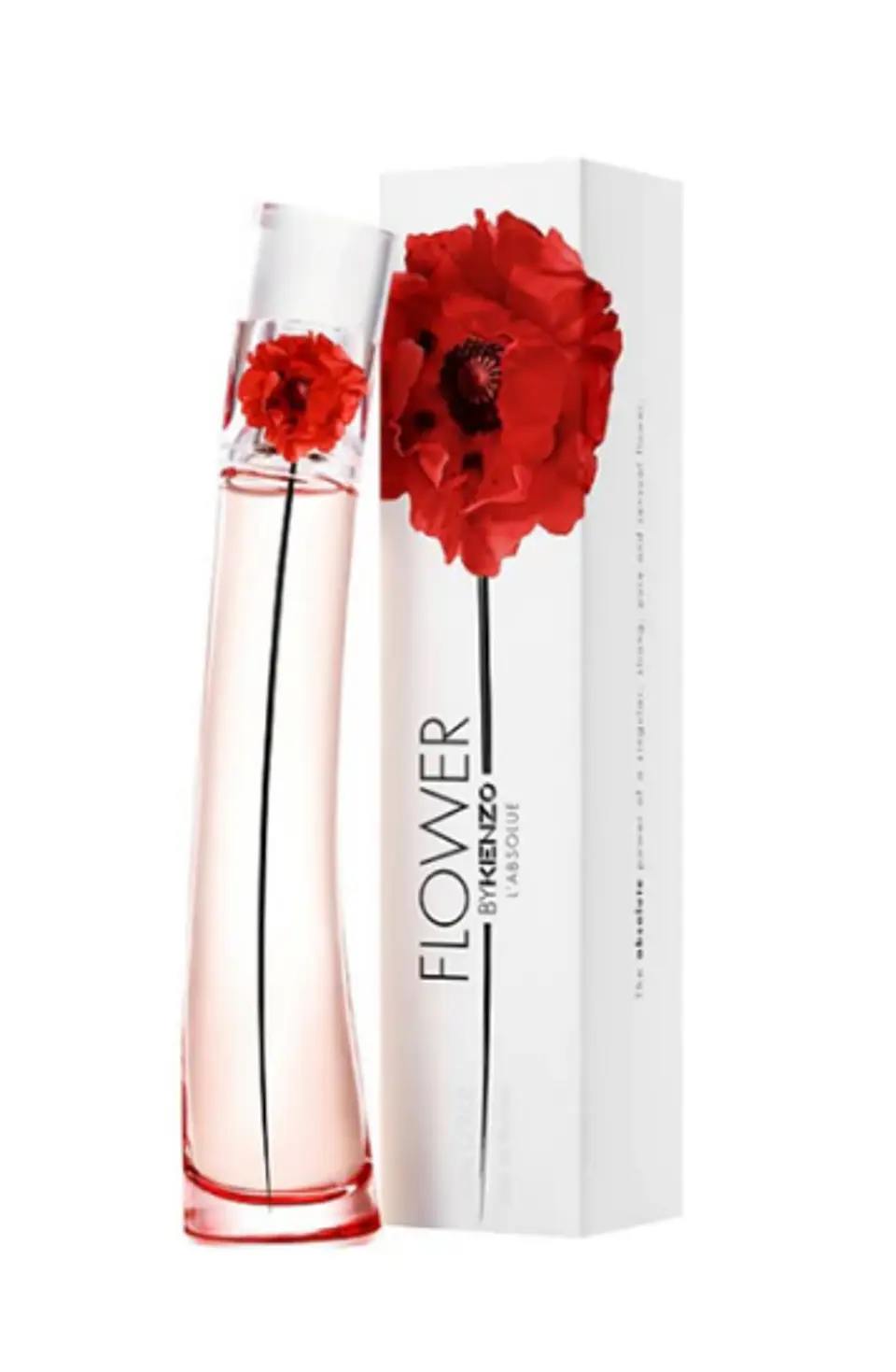 FLOWER BY KENZO L'ABSOLUE EDP 50 ML FOR WOMEN - KENZO 1