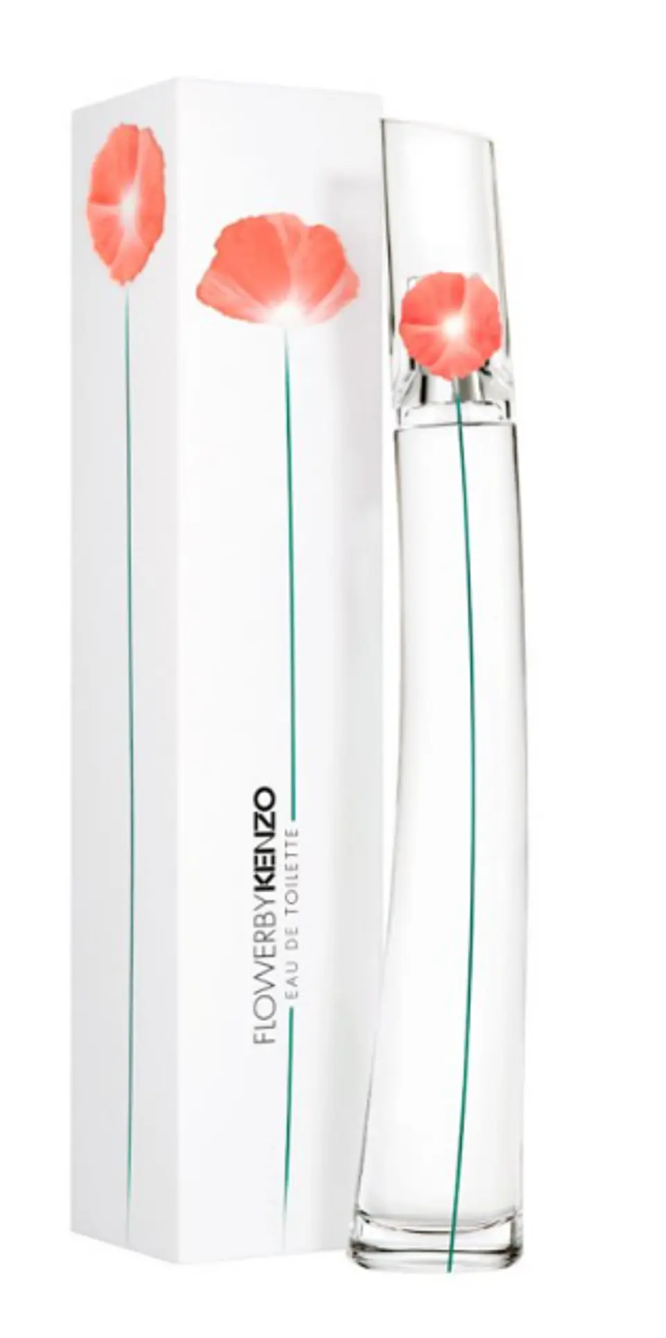 FLOWER BY KENZO EDT 100 ML  - KENZO 1