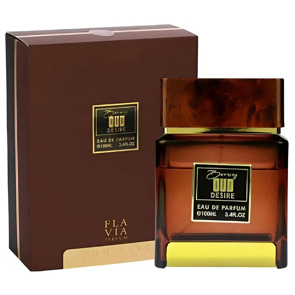 BURNING OUD DESIRE EDP 100 ML UNISEX - FLAVIA - (GENETIC BLISS DE 27 87) 2