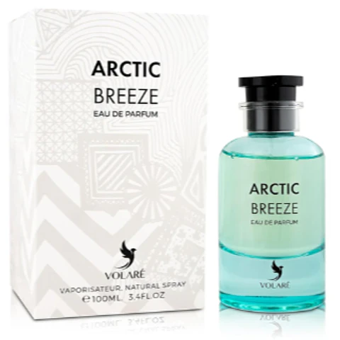 ARCTIC BREEZE EDP 100 ML FOR MEN - VOLARE