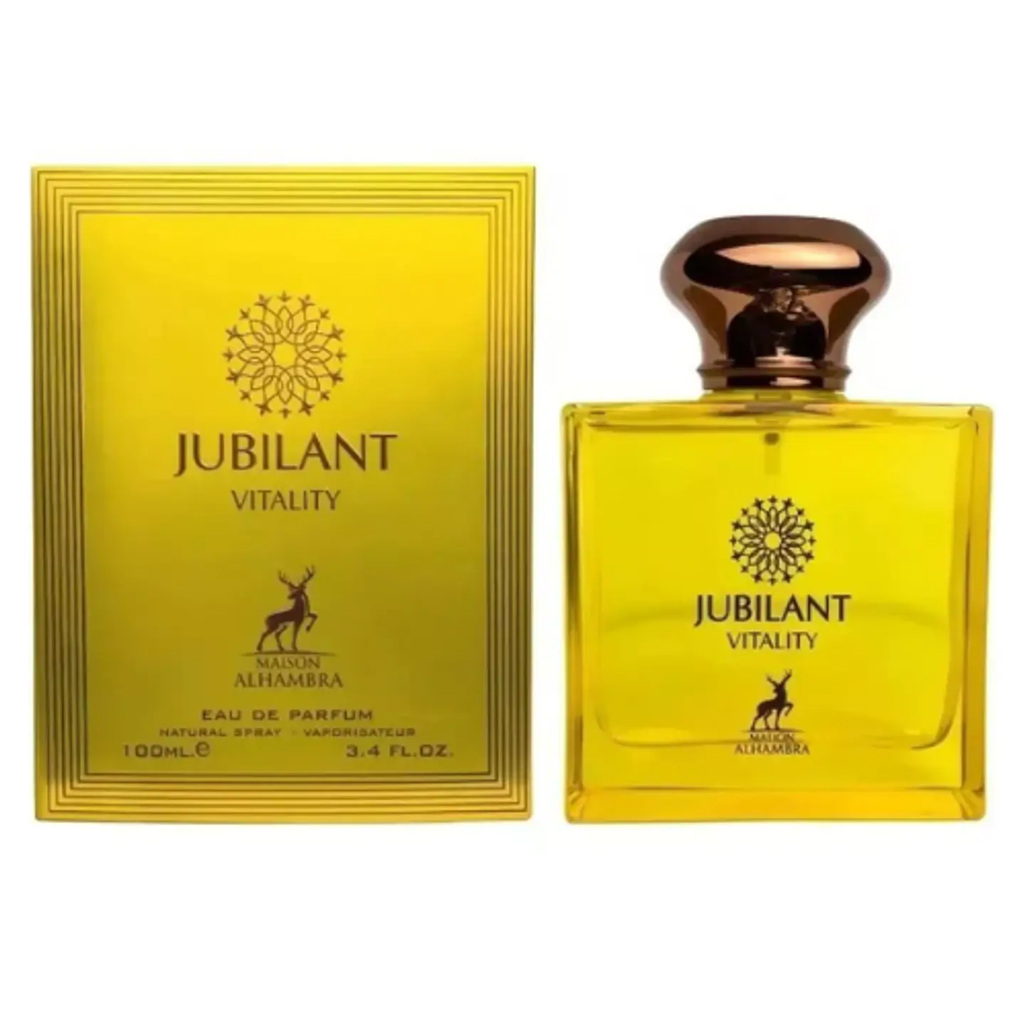 JUBILANT VITALITY EDP 100 ML FOR MEN - MAISON ALHAMBRA 1