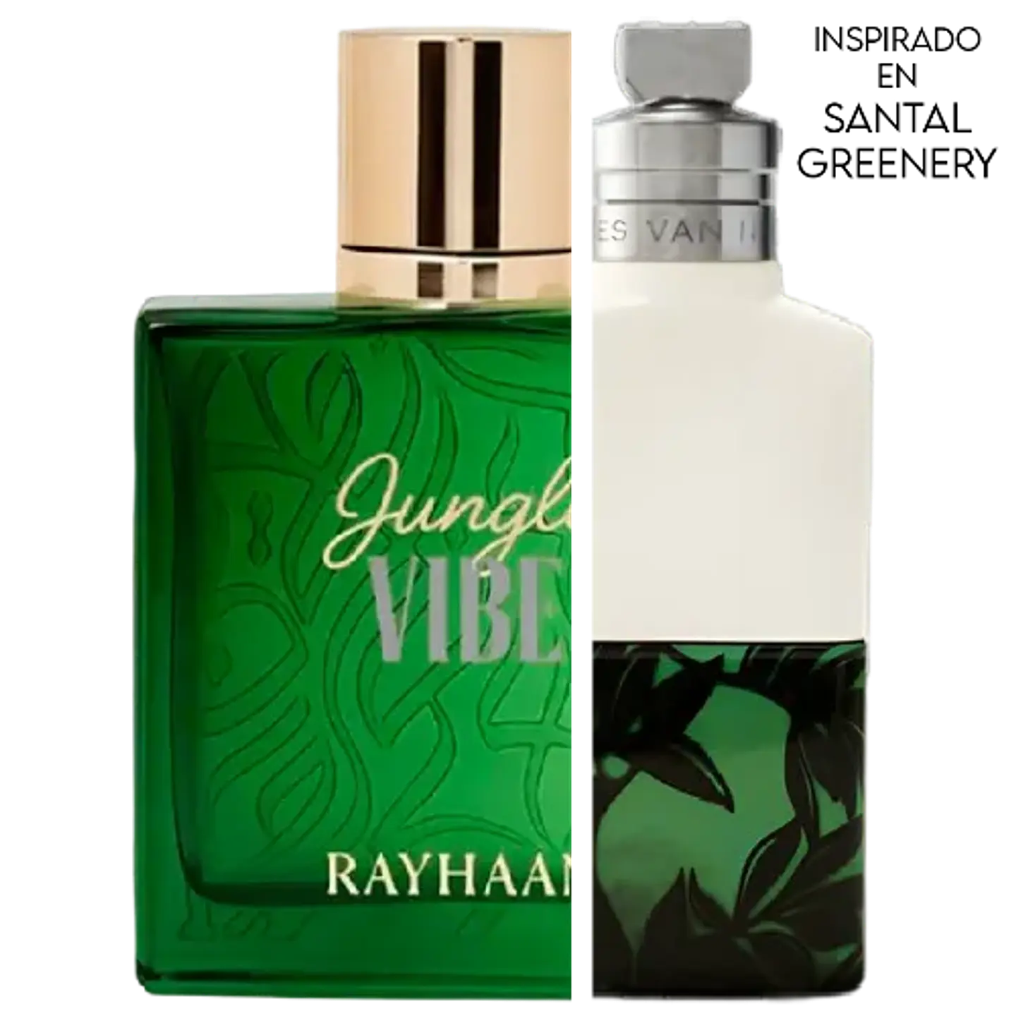 JUNGLE VIBE EDP 100 ML UNISEX - RAYHAAN (INSPIRADO EN SANTAL GREENERY) 2