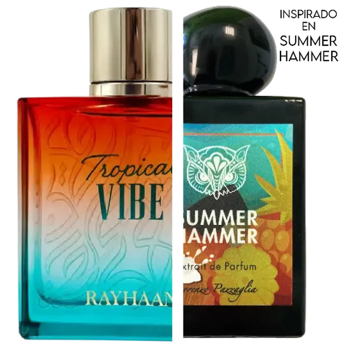 TROPICAL VIBE EDP 100 ML UNISEX - RAYHAAN (INSPIRADO EN  SUMMER HAMMER) 2
