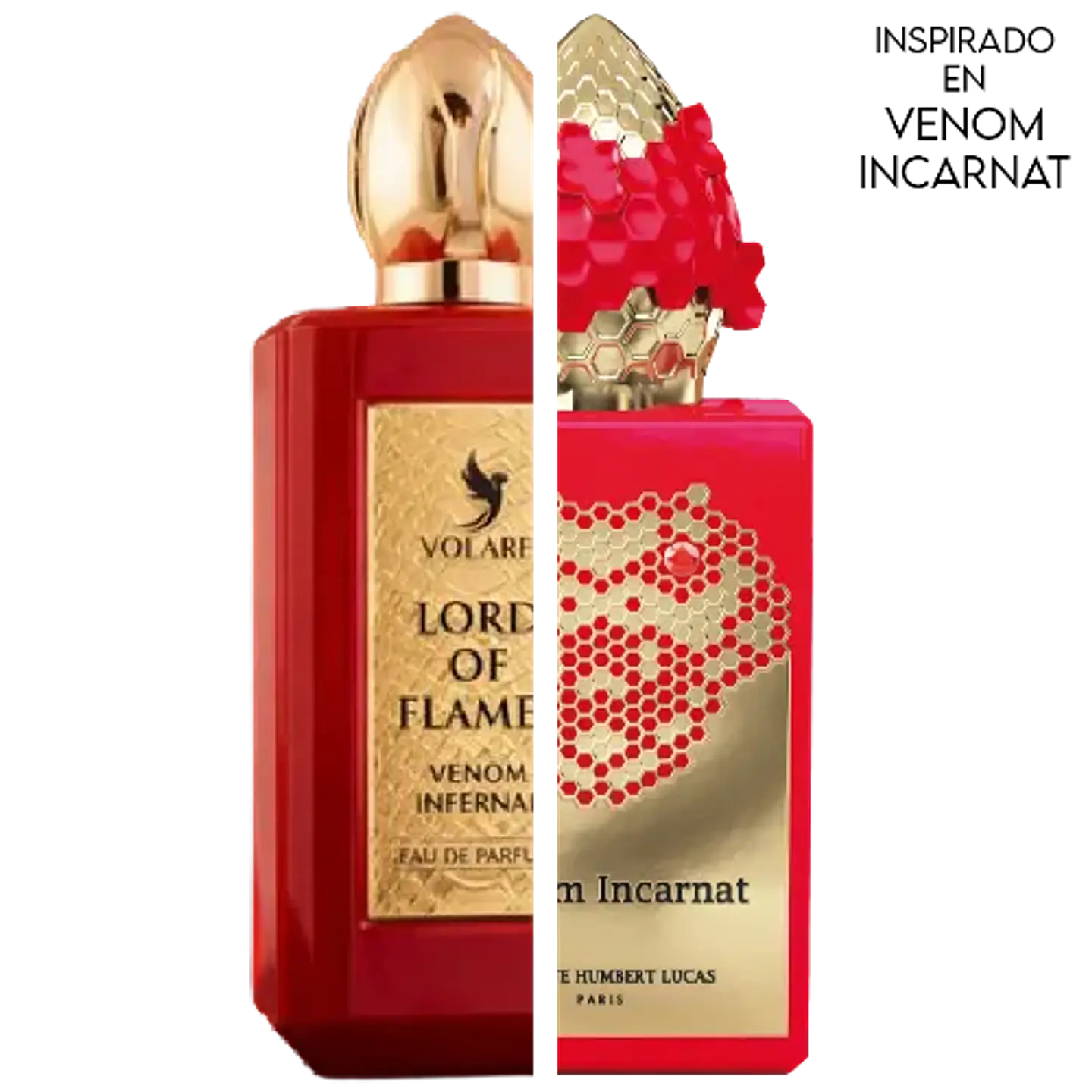 LORD OF FLAMES VENON INFERNAL EDP 100 ML FOR MEN - VOLARE (INSPIRADO EN VENOM INCARNAT) 2