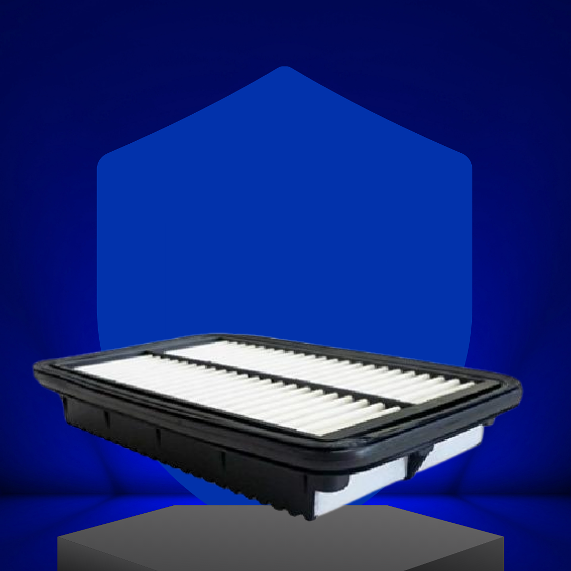 Filtro de Aire morning 1