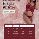 BODY VELVET SEDUCTION - Lencería Bordado Floral con Portaligas – Encaje Transparente Sensual