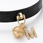 Collar de Tracción Dorado Ajustable BDSM