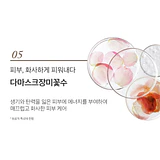 Elravie Pro Ultimate Ampoule · 6