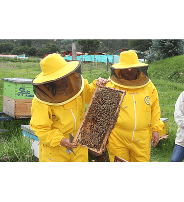 Velo amarillo con sombrero (malla americana)