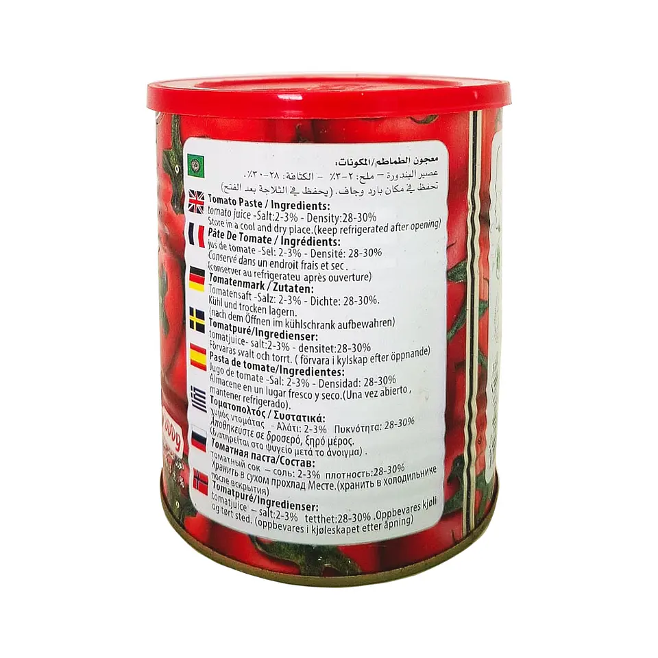 Pasta de Tomate Algota 800g 2