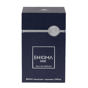 Perfume Fragrance World Enigma Une Edp 100ml Hombre - Inspirado En Sauavge Elixir De Dior