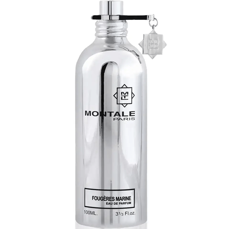 Tester Montale Fougeres Marines Edp 100ml Unisex 1