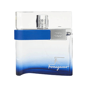 Tester Salvatore Ferragamo Free Time Pour Homme Edt 100 Ml Hombre
