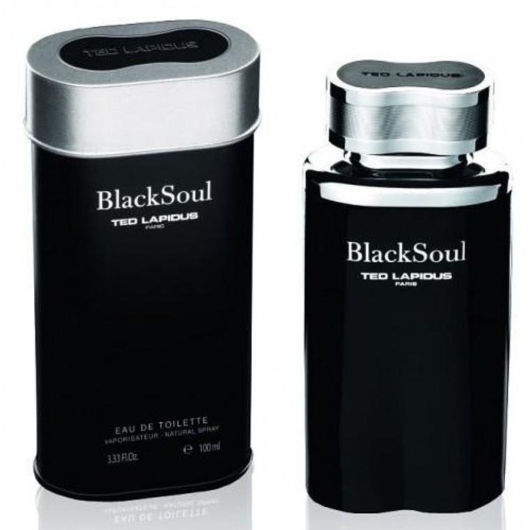 Perfume Ted Lapidus Black Soul Edt 100ml Hombre 1