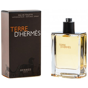 Perfume Terre d'Hermes Edt 100ml Hombre