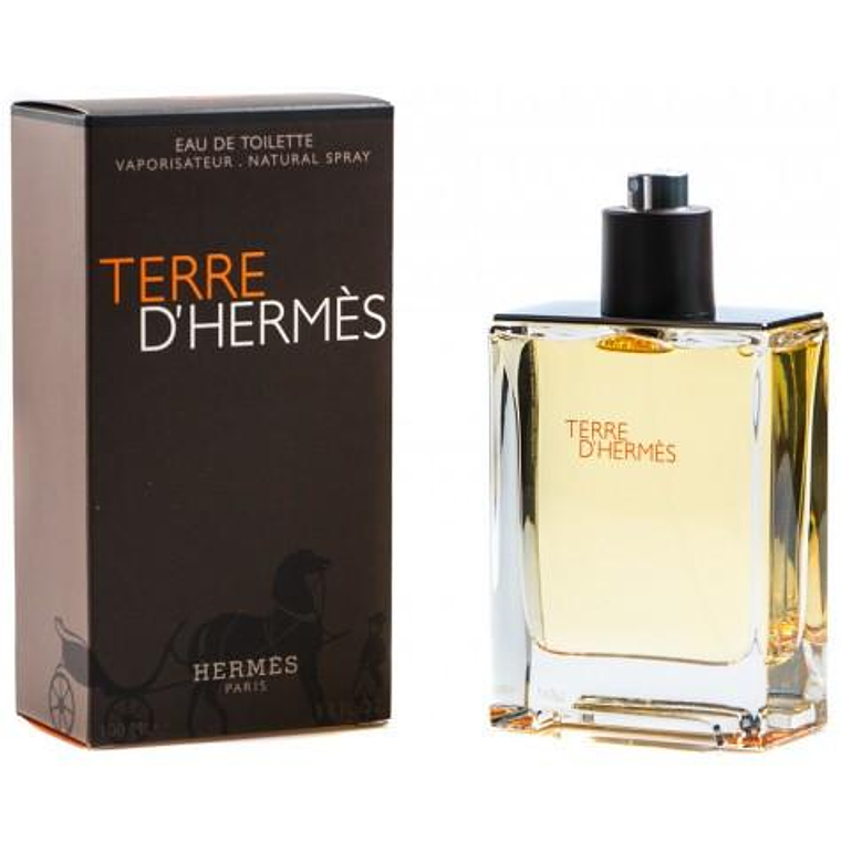 Perfume Terre d'Hermes Edt 100ml Hombre 1