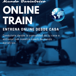 Entrenamiento online 