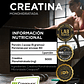 Creapure ® - Creatina Monohidratada - Sin sabor - Strive - Miniatura 3