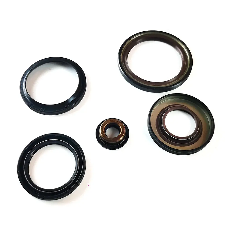 Overhaul kit para AL4 DPO TRANSPEED 3