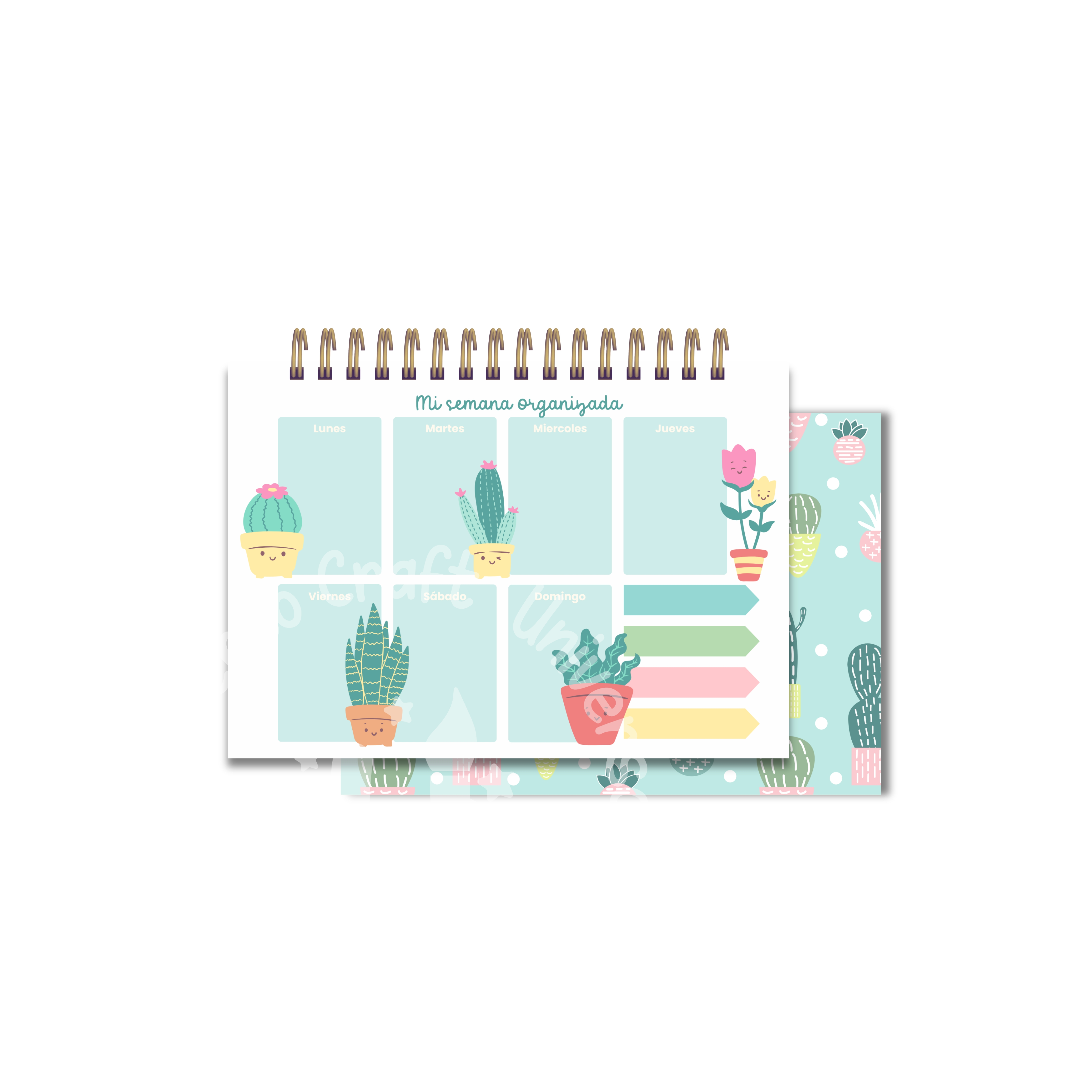 Archivo Digital PDF - Proyecto Planificador Semanal A5 Cactus  - Diseño 03 1