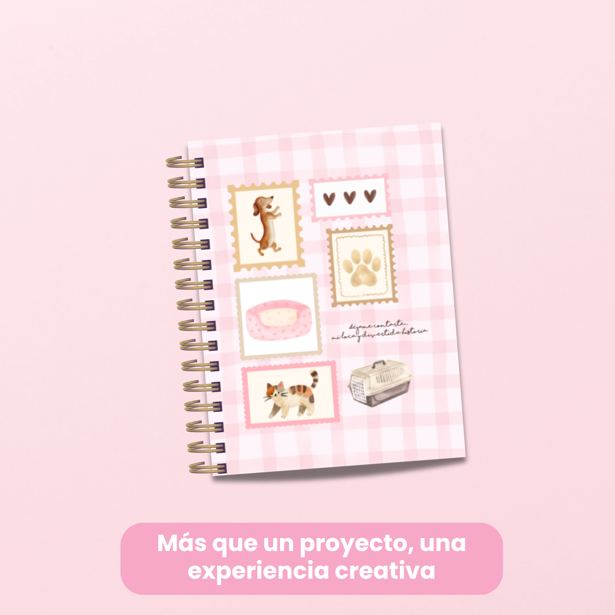 PREVENTA 20 DE AGOSTO - Curso Online - Mi historia entre patitas 🐾 1