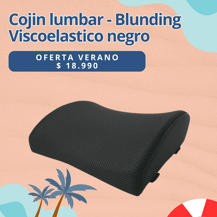 OFERTA Cojin lumbar Blunding