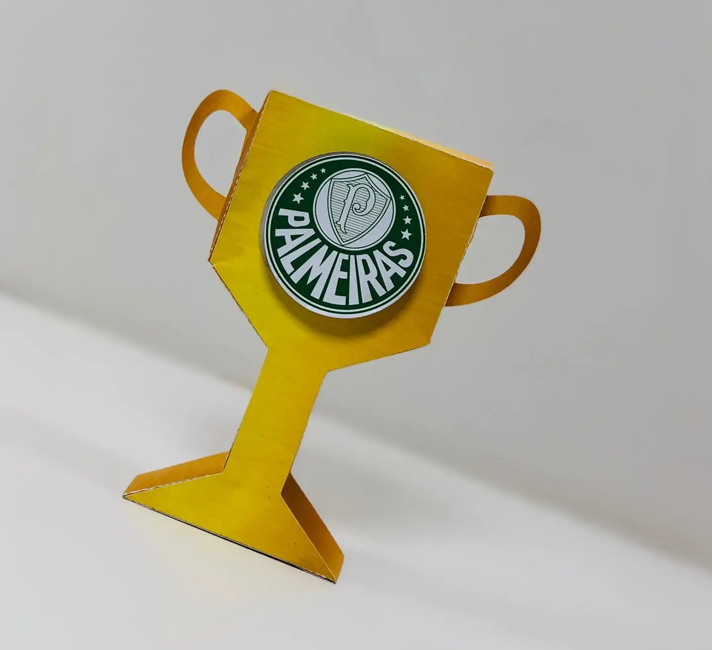 ARQUIVO DE CORTE PALMEIRAS 01 3