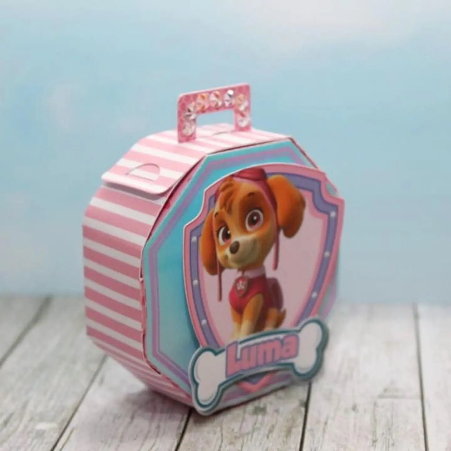 ARQUIVO DE CORTE PATRULHA CANINA 17 5