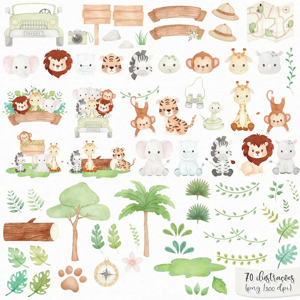 KIT DIGITAL SAFARI 02 3