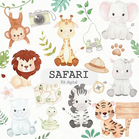 KIT DIGITAL SAFARI 02