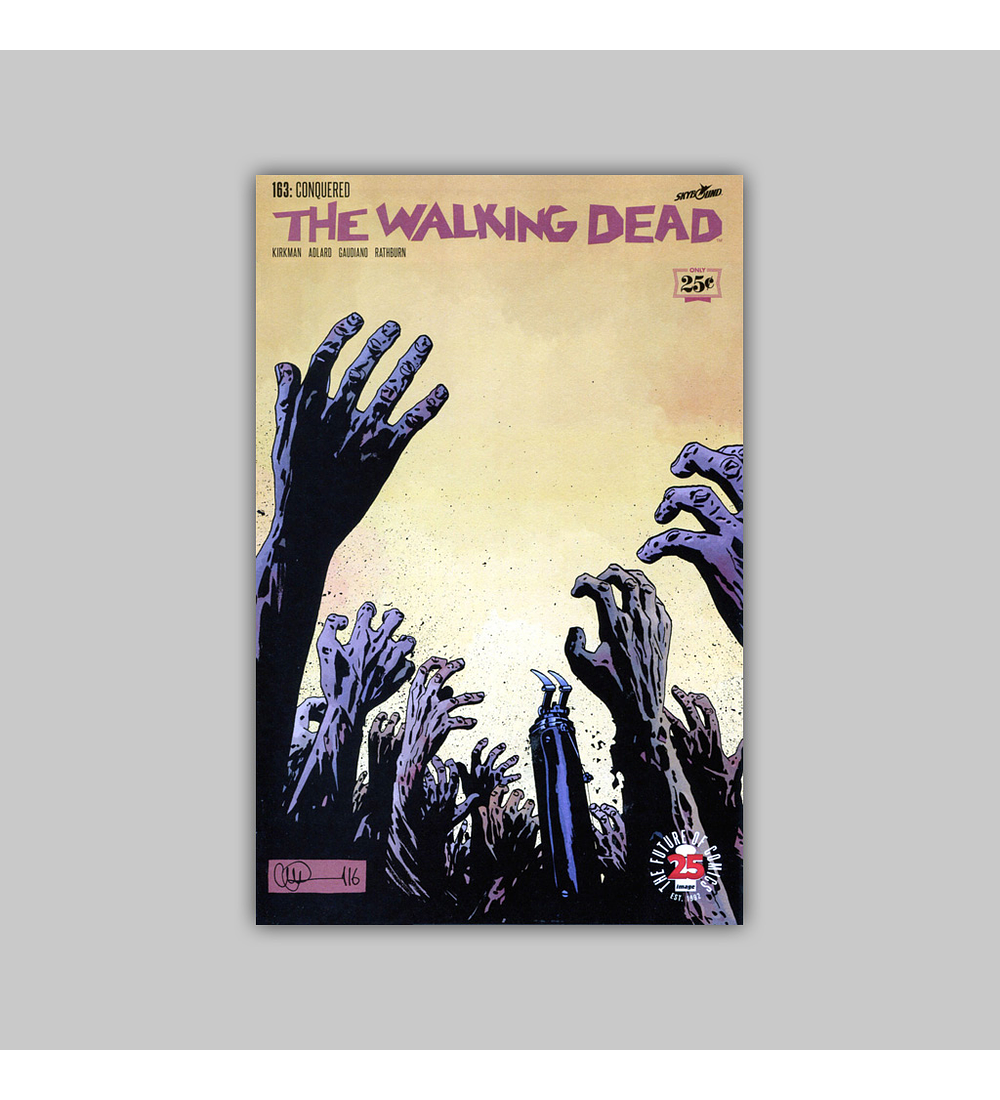 Walking Dead 163 2017