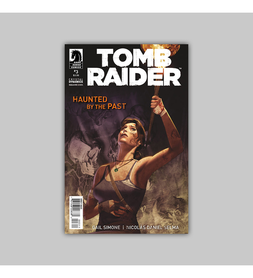 Tomb Raider 3 2014