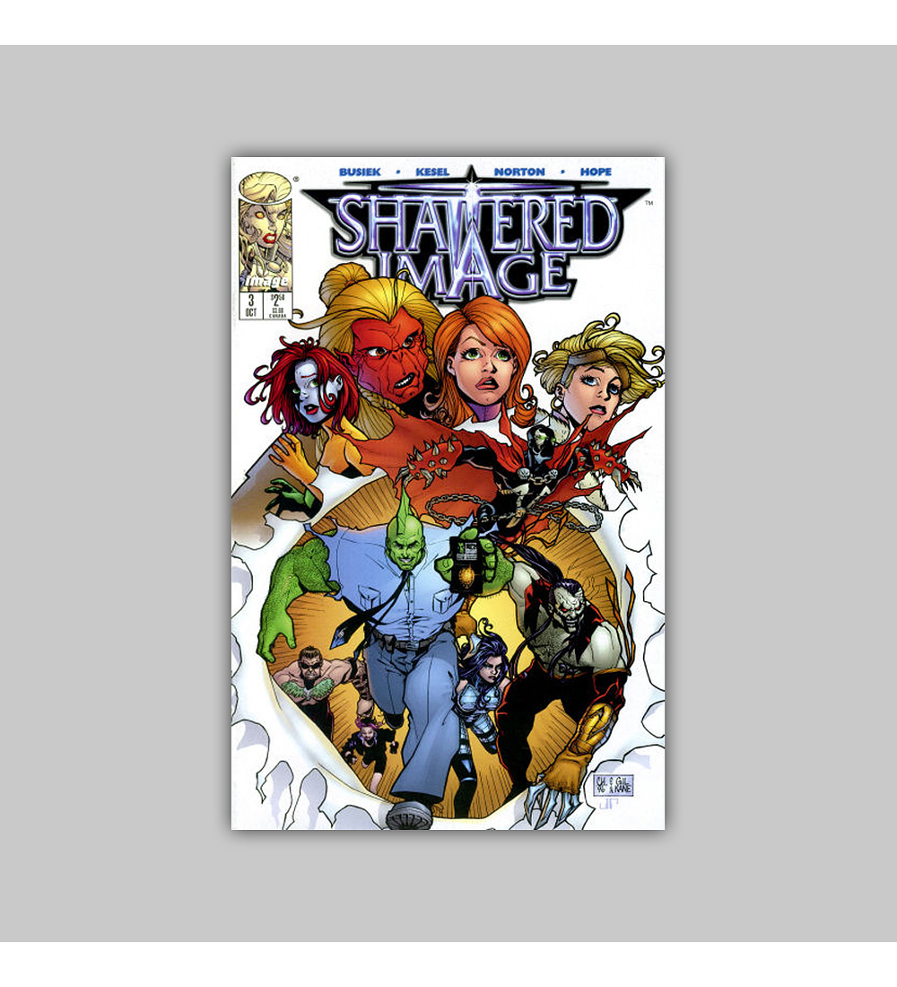 Shattered Image 3 1996